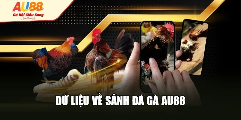 Dữ liệu về sảnh đá gà AU88