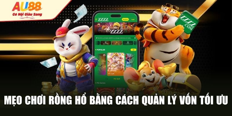 Mẹo chơi rồng hổ bằng cách quản lý vốn tối ưu