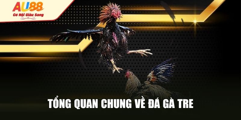 Tổng quan chung về đá gà tre