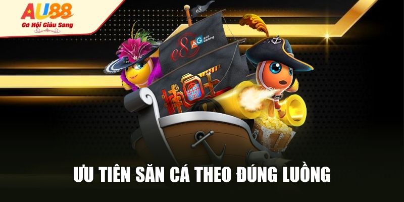 Ưu tiên săn cá theo đúng luồng